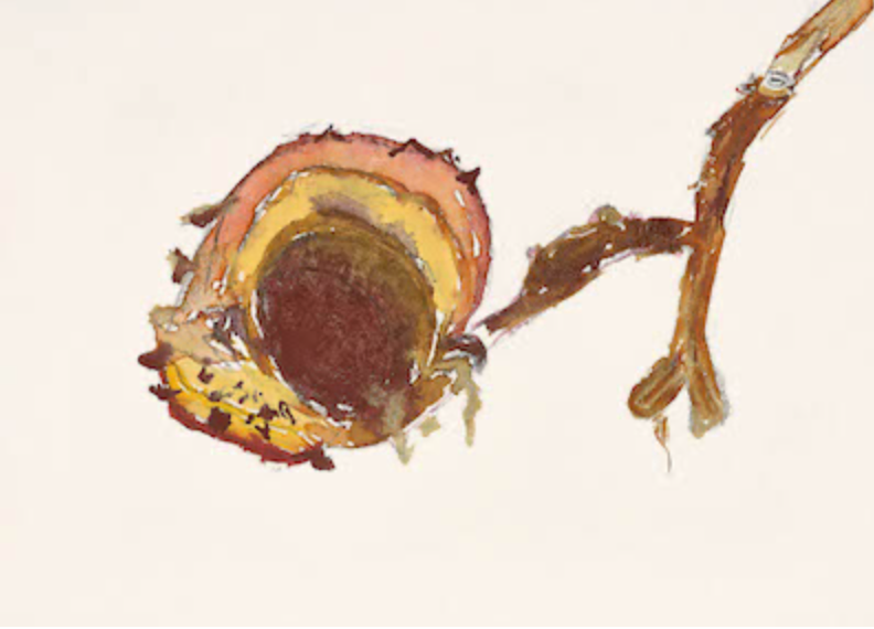 Eingang zur Schattenwelt