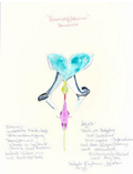 RaumschiffHolisimus