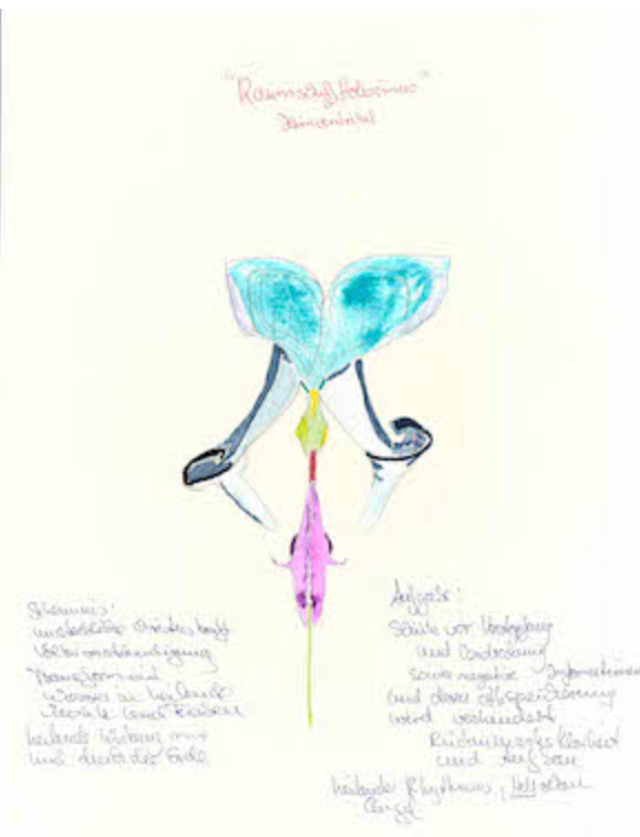 RaumschiffHolisimus