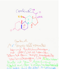 Cortisol