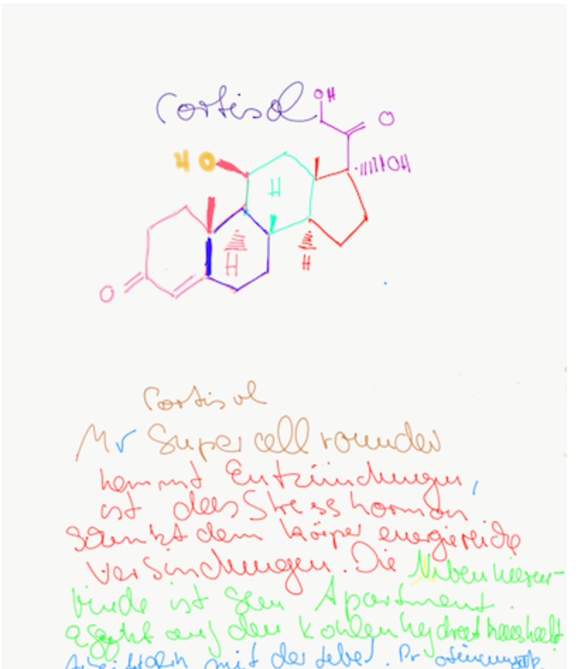 Cortisol