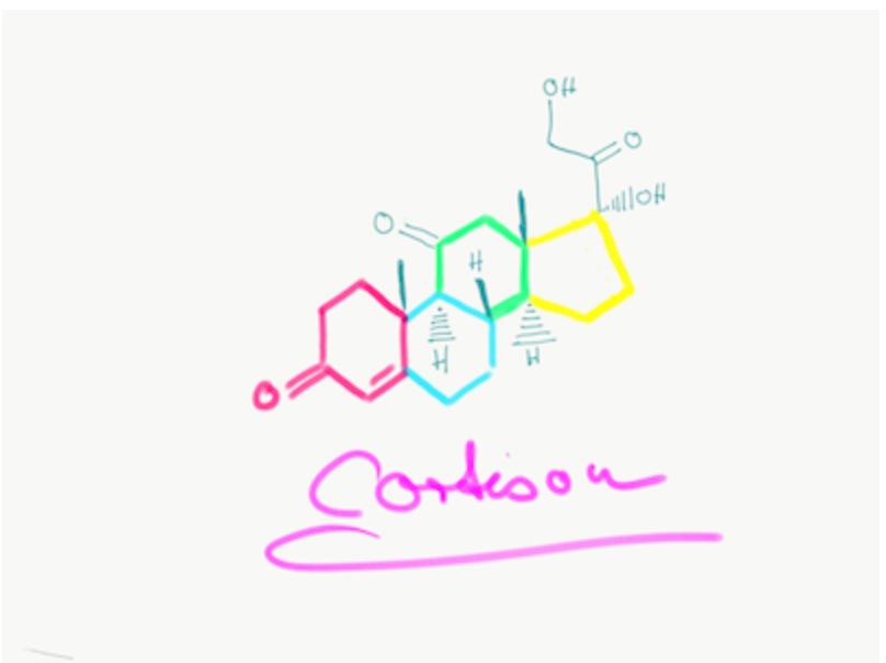 Cortison