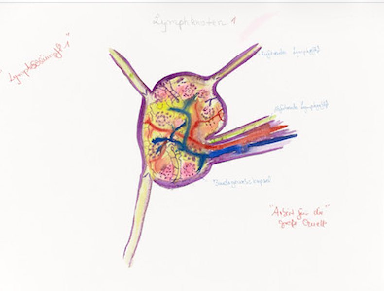 Lymphschlumpf1.jpg