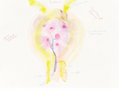 Lymphschlumpf 03