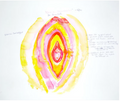 Pforte zur Unendlichkeit (Vagina)