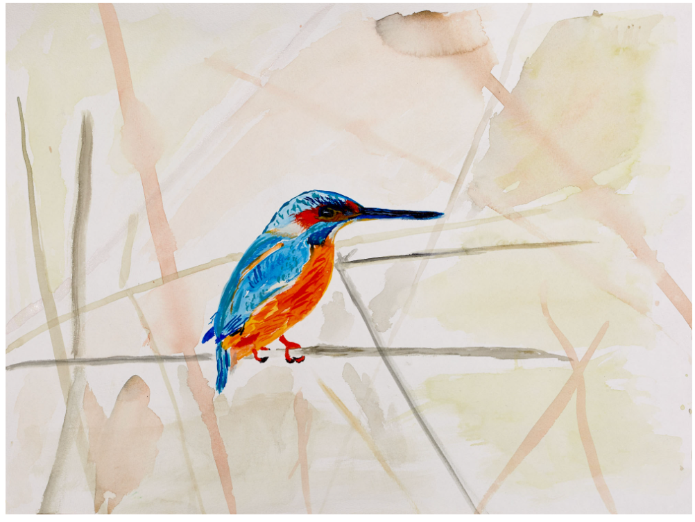 Eisvogel
