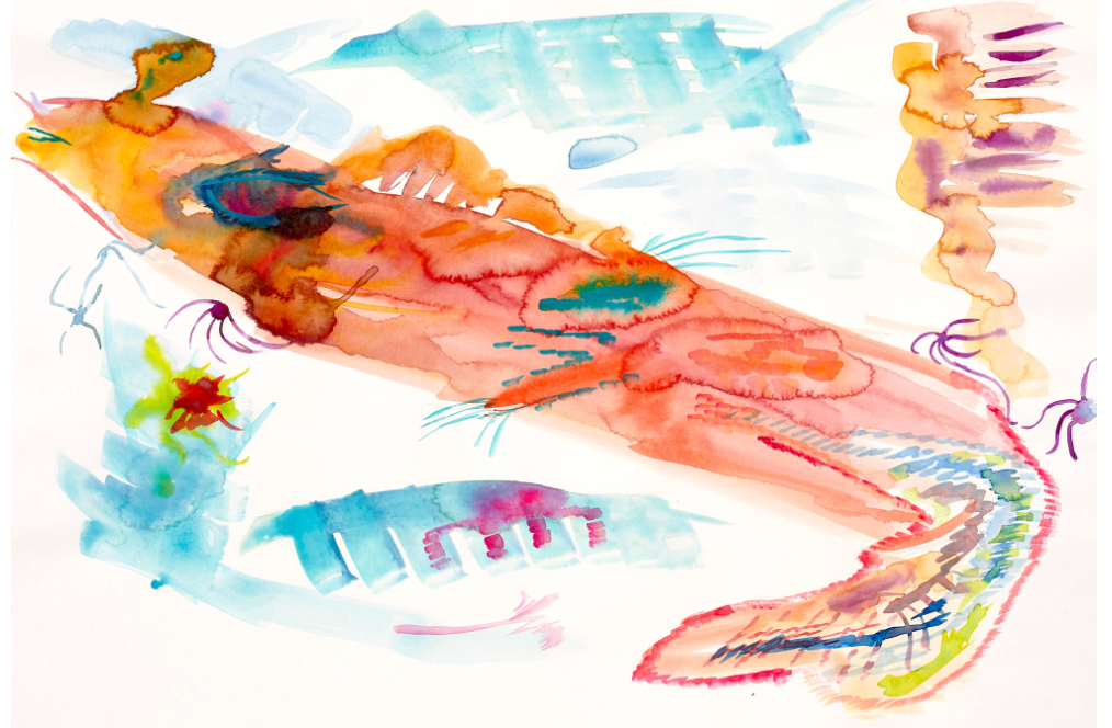 Fischdrachen