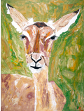 Impala