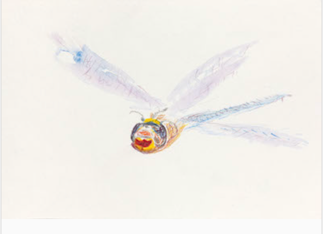 Libelle