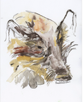 Wildschwein
