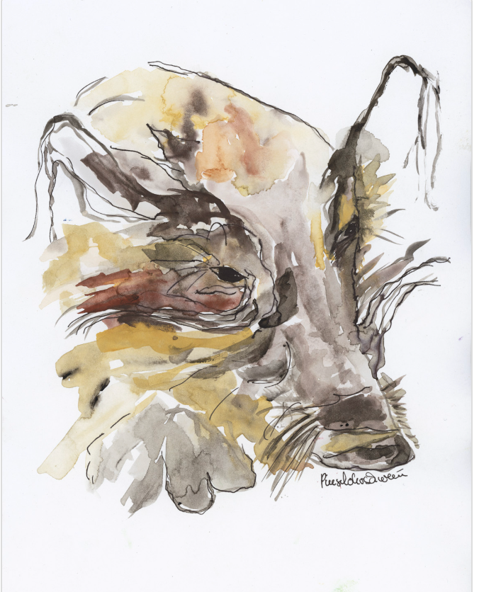 Wildschwein