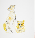 Wüstenfuchs