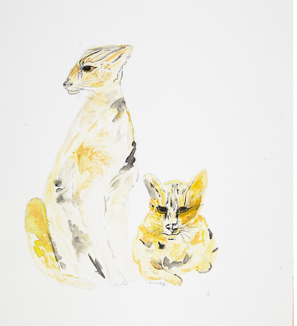 Wüstenfuchs