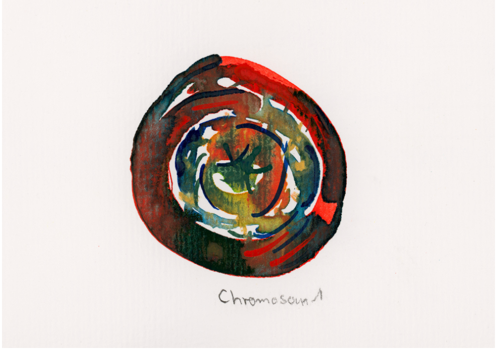 Chromosom 001