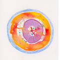 Chromosom 010