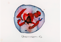Chromosom 013