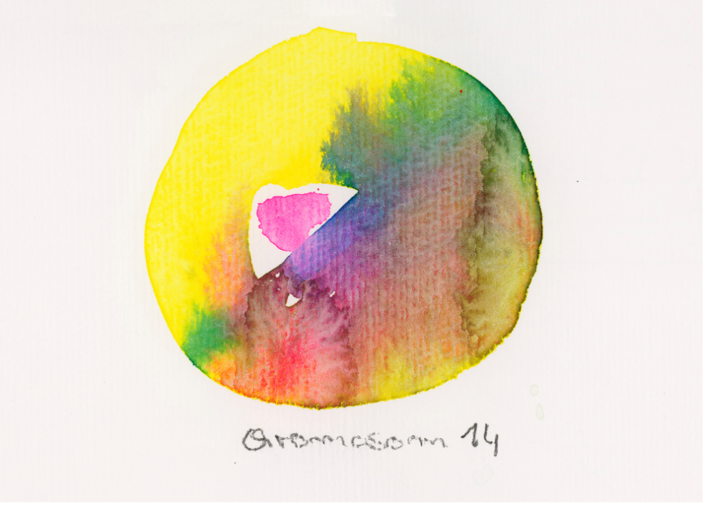 Chromosom 014