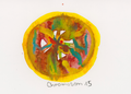 Chromosom 015