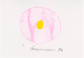 Chromosom 016