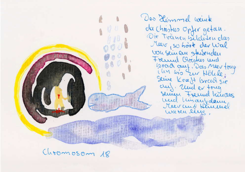 Chromosom 018