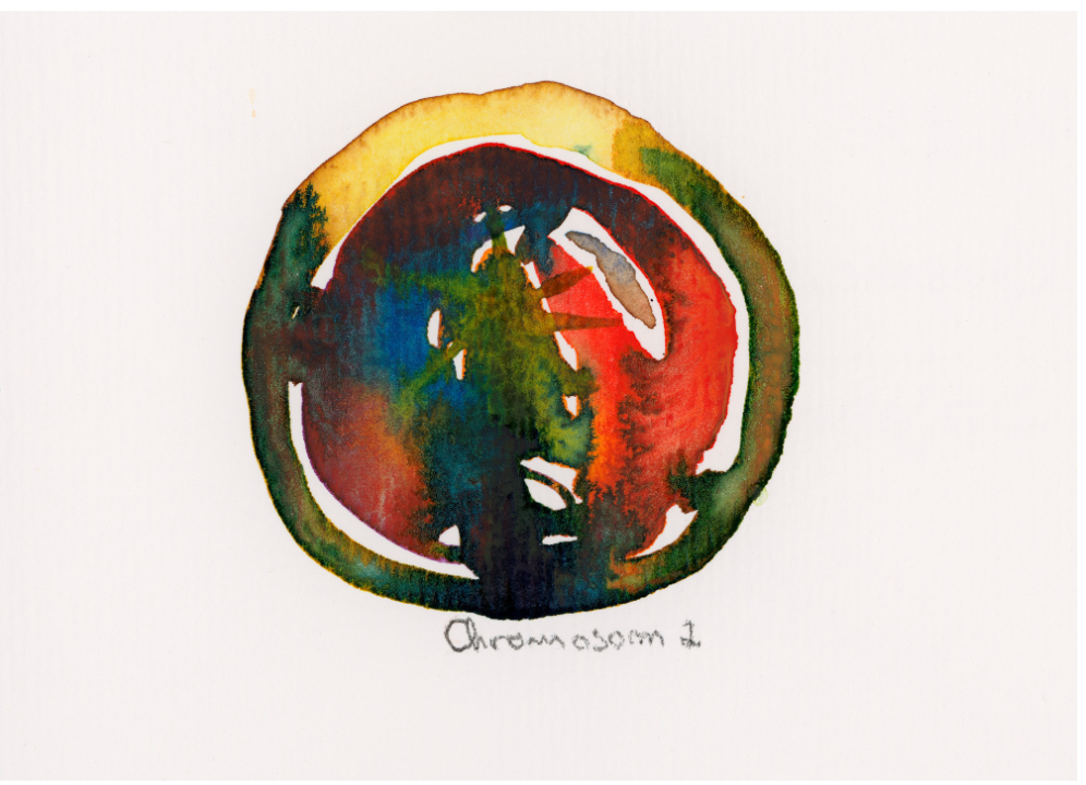 Chromosom 002