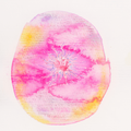 Chromosom 020