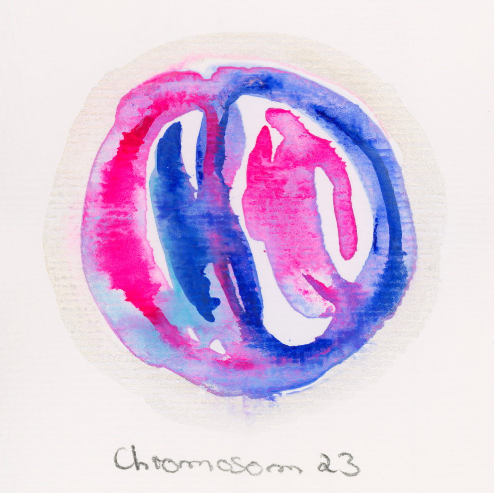 Chromosom 023