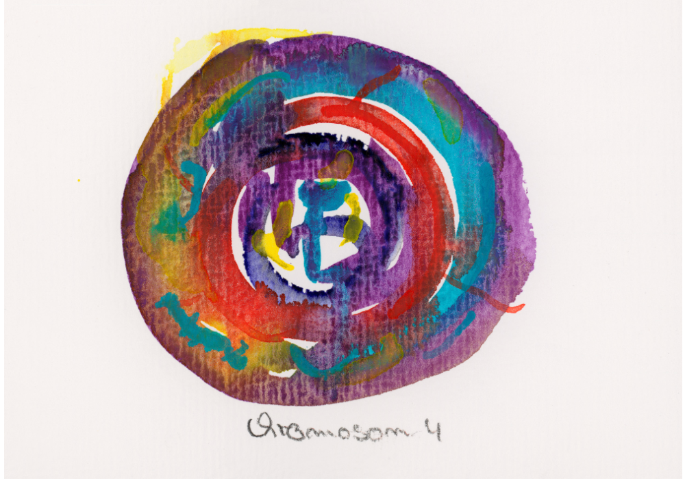 Chromosom 004