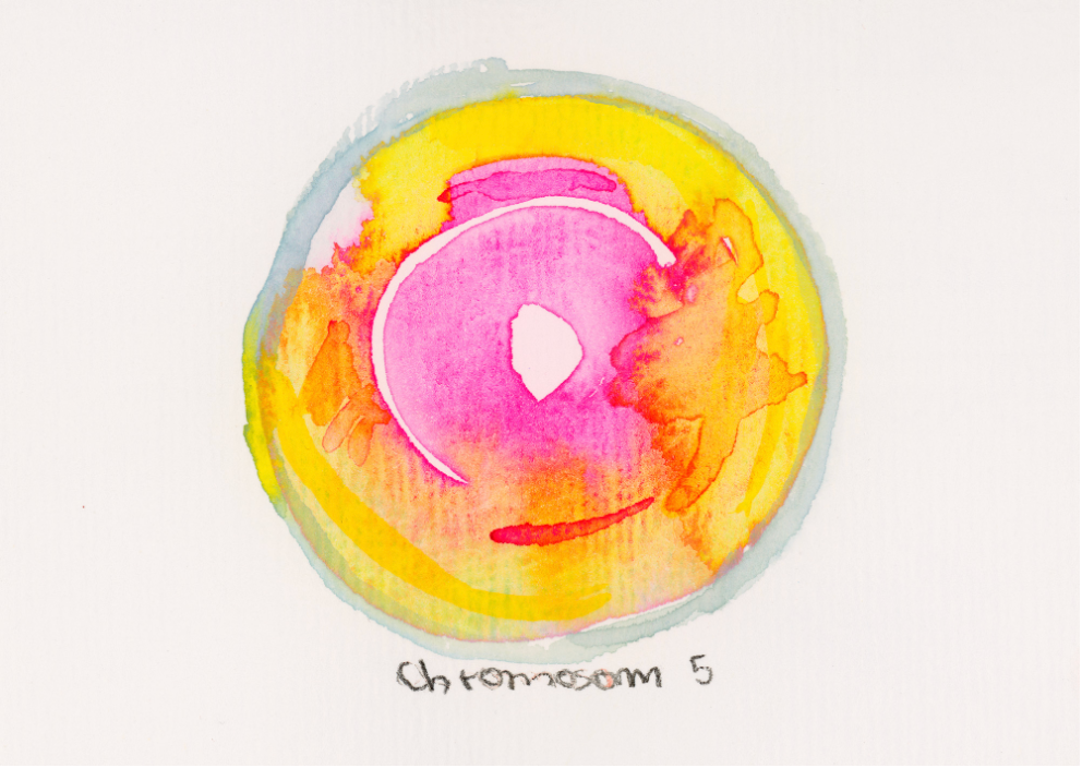 Chromosom 005