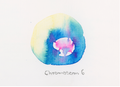 Chromosom 006