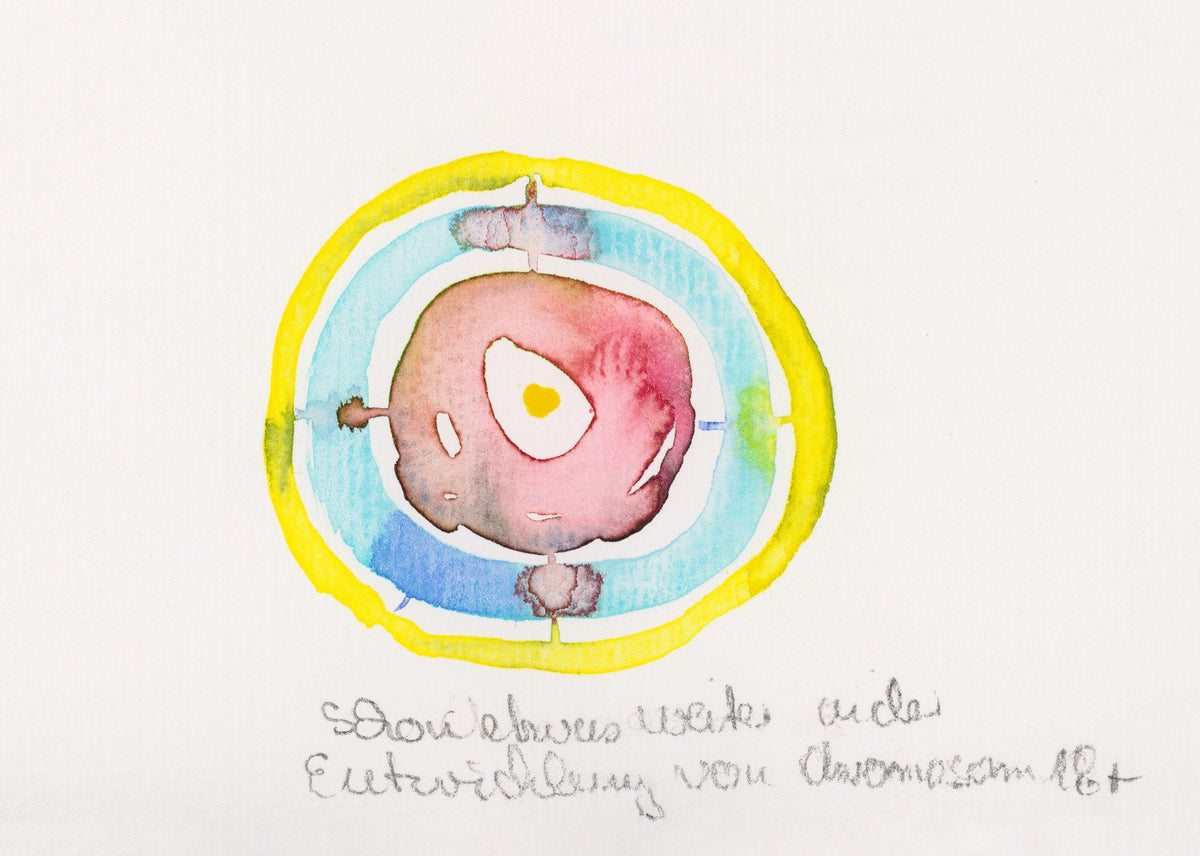 Chromosom 18-06