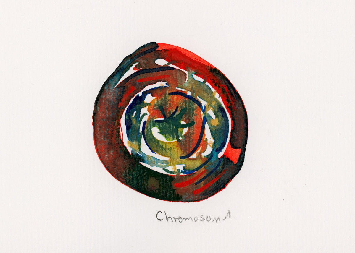 Chromosom 1