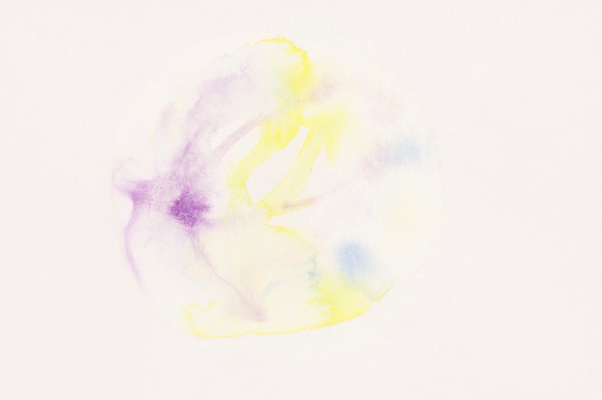 Chromosom 2-03