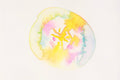 Chromosom 2-05
