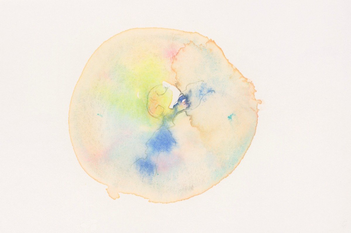 Chromosom 2-06