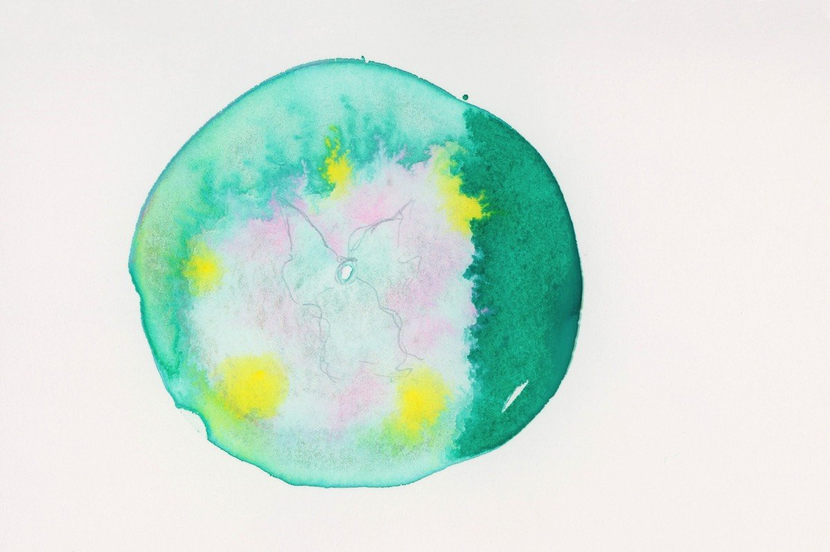 Chromosom 2-07