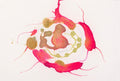 Chromosom 2-23