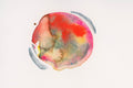 Chromosom 213